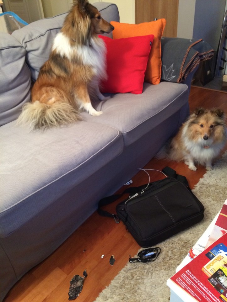 We haven't done anything