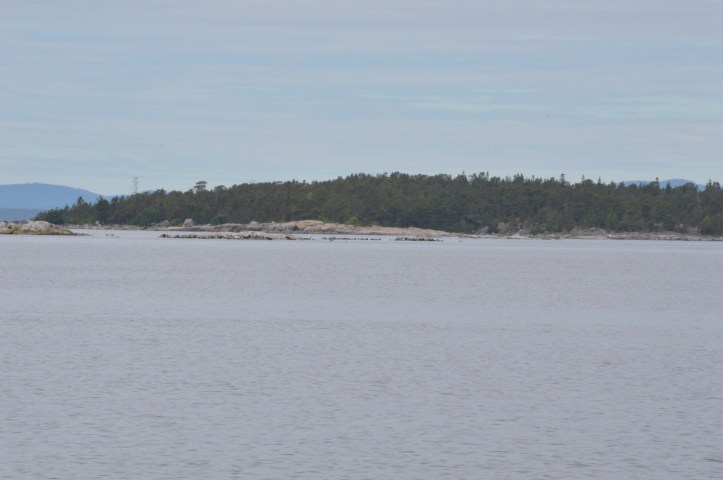 Hylkeitä aamutoimilla